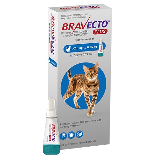 Bravecto Plus Gatos Medianos Portalmascota Net